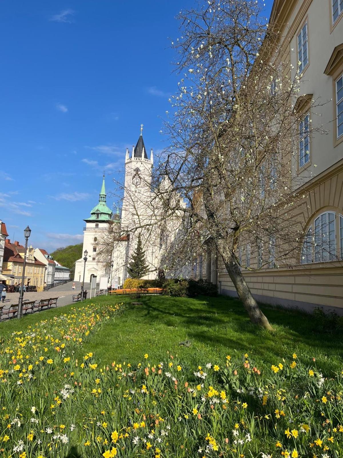 Vila Adela - Teplice Exterior foto